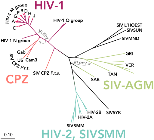 1985_HIV_SIV_genetic_tree